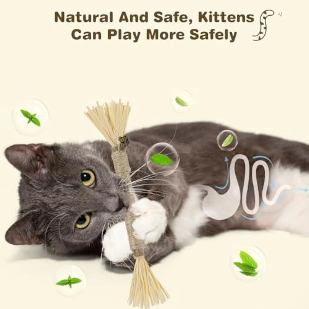 3 natural silvervine dental sticks for cats with sisal rope and raffia, thick and fine diameter options