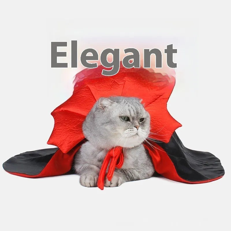 Black and red Halloween costume for cat or dog on hanger