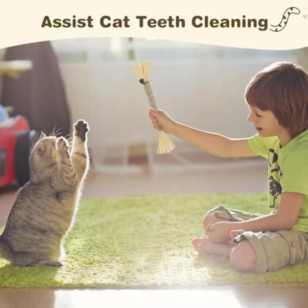 3 natural silvervine dental sticks for cats with sisal rope and raffia, thick and fine diameter options