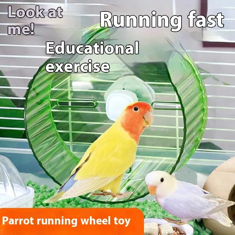 21cm plastic bird running wheel toy in transparent, green, grey, orange or purple for parrots and small birds