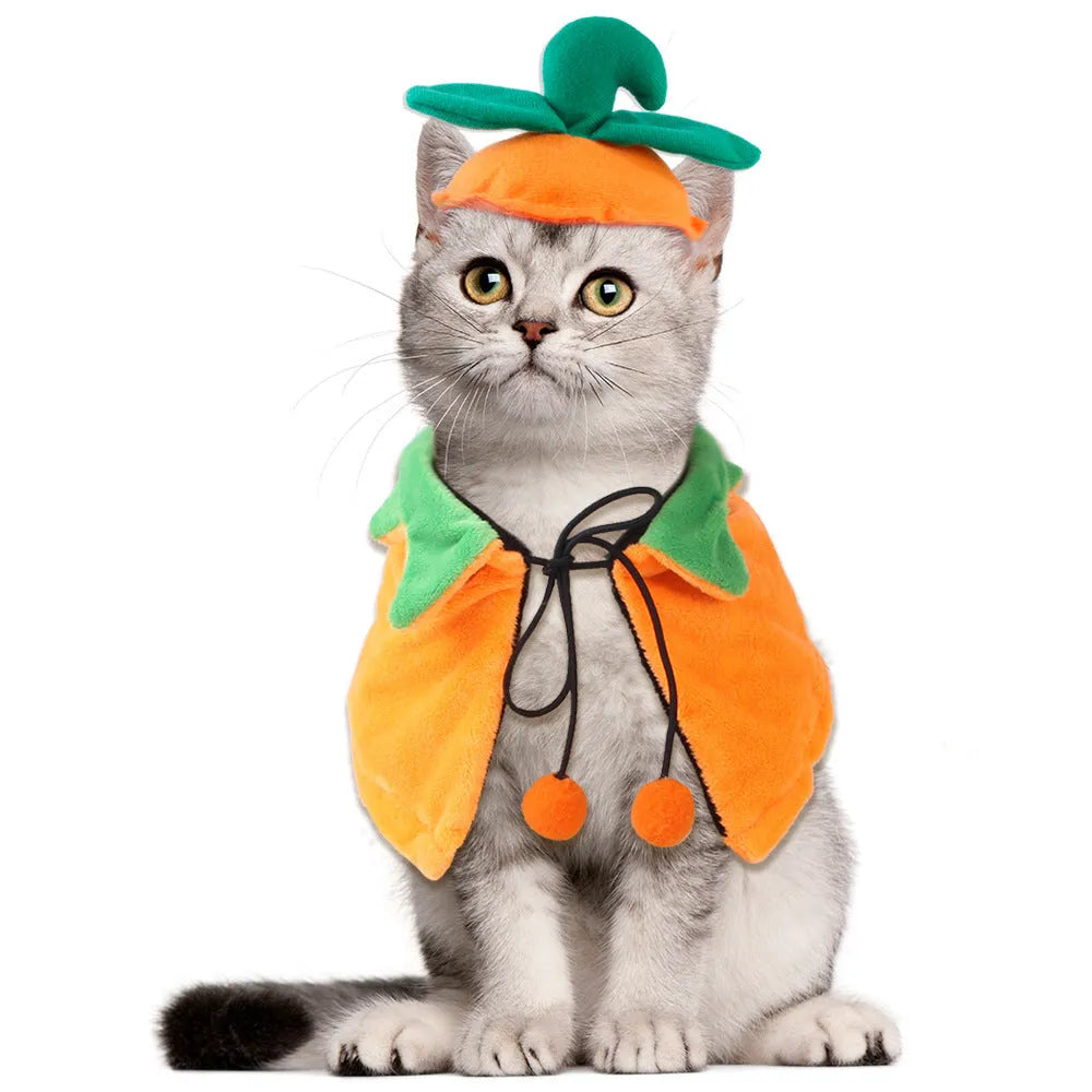 Halloween pumpkin reversible pet cloak with matching hat on dog