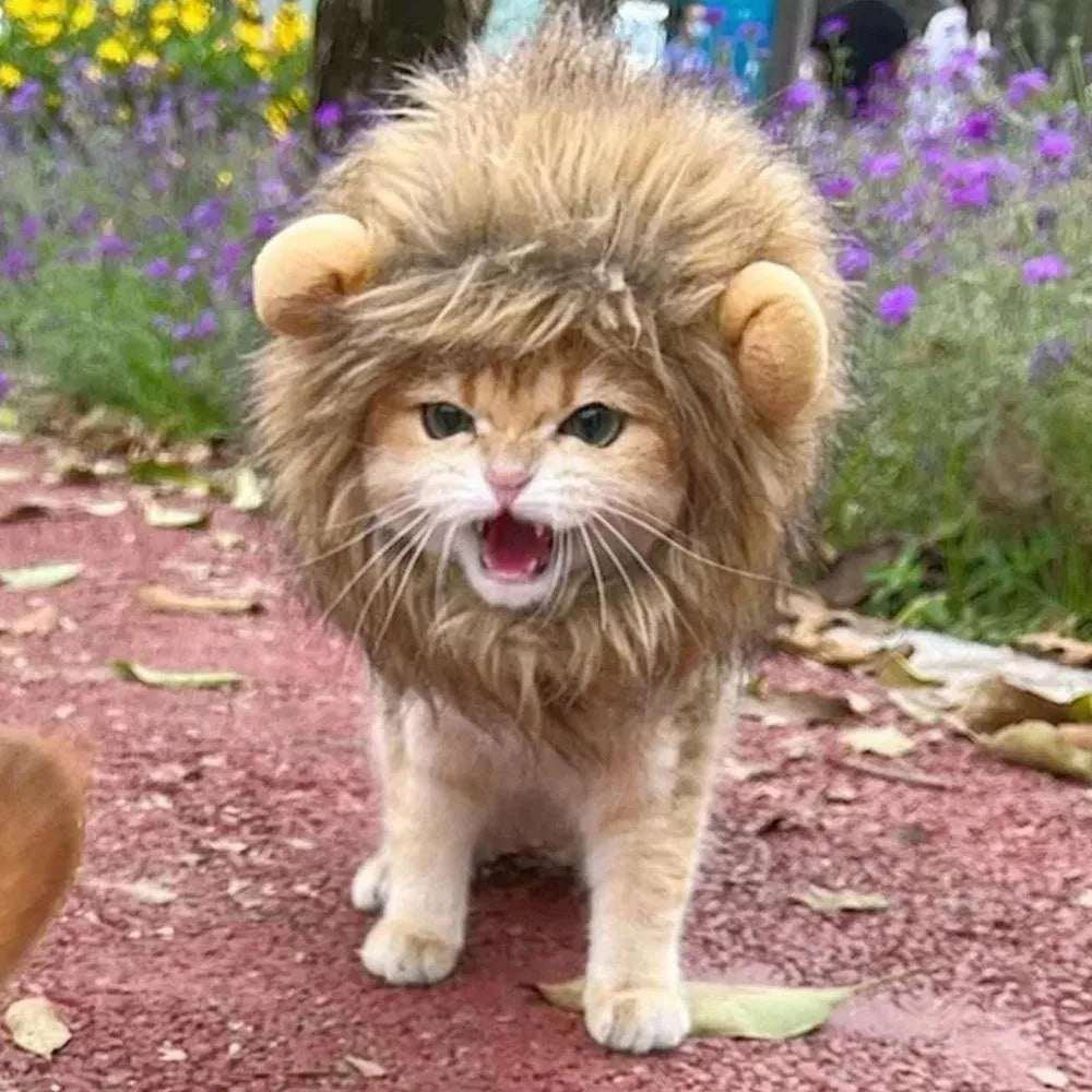 Lion mane wig costume accessory for a cat, showing plush ears and adjustable elastic band