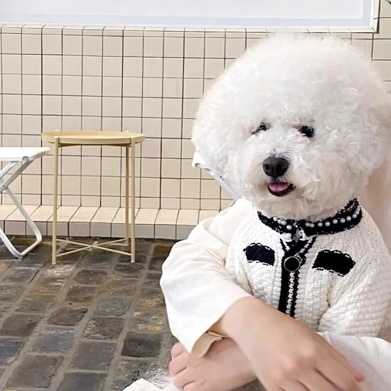 Korean style puppy sweater with pearl collar in white or black colour for small dogs
