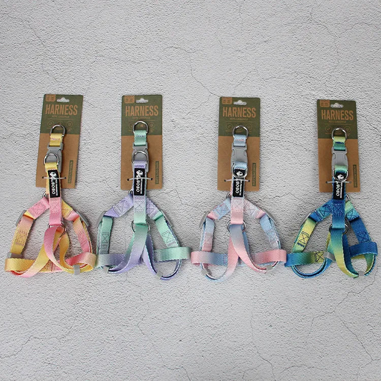 Nylon dog lead set showing gradient colour options in pink-blue combination with collar attachment