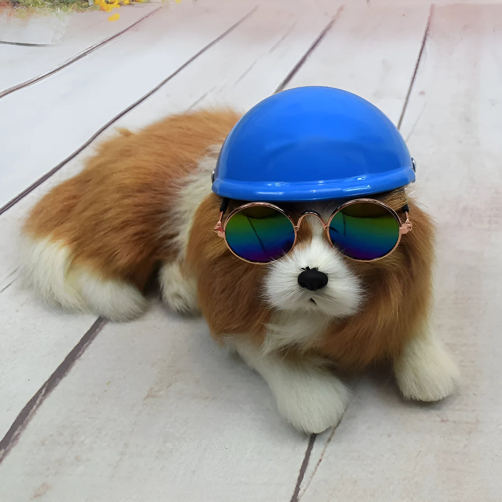 A small dog wearing a solid-colour plastic motorcycle cap helmet on its head.