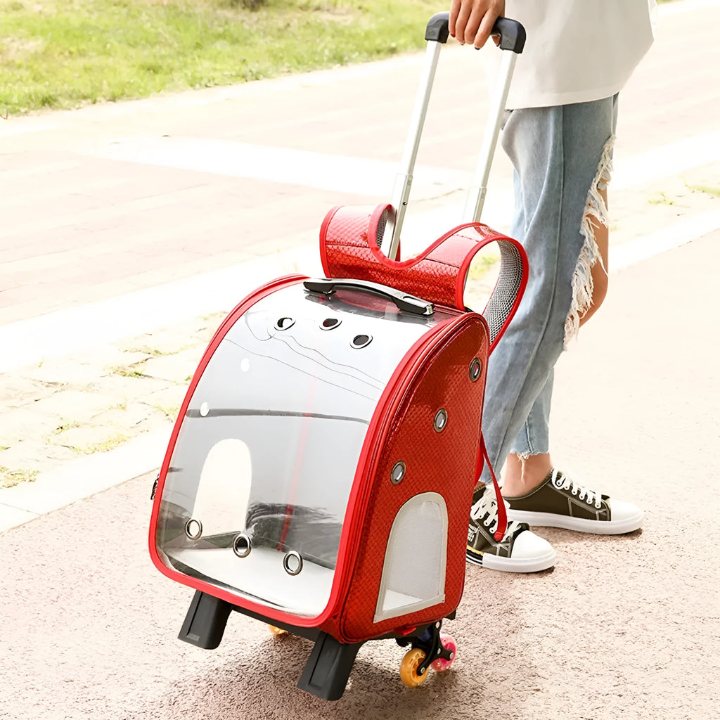 Transparent pet trolley bag with folding shoulder design in blue colour showing clear acrylic cover