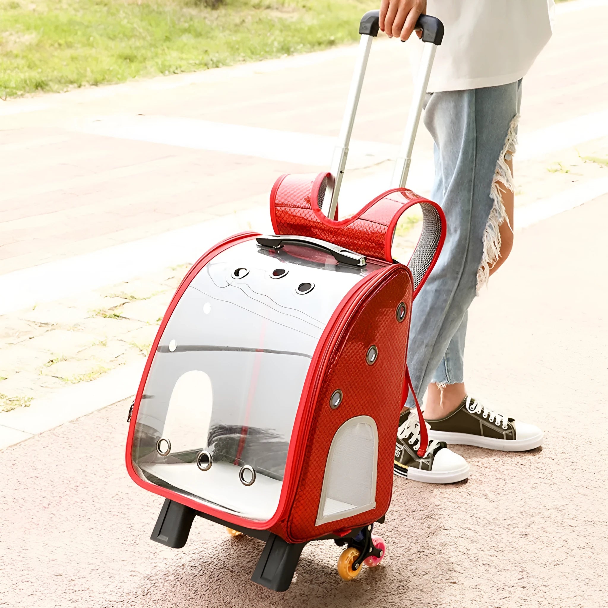 Transparent pet trolley bag with folding shoulder design in blue colour showing clear acrylic cover