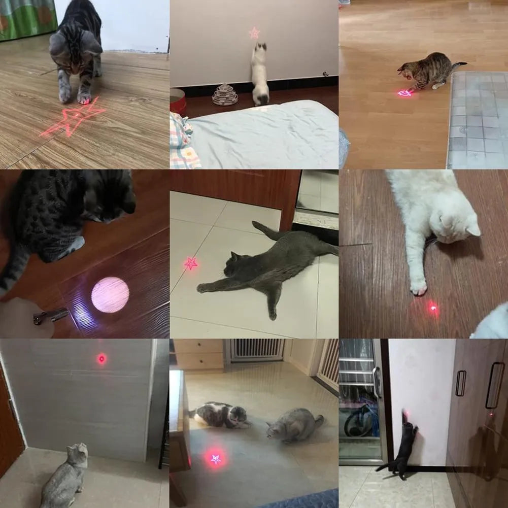 Infrared cat teaser toy with key chain lighting features showing black and pink colour options