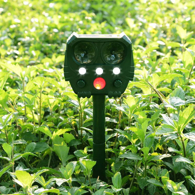 Green solar ultrasonic animal repeller with LED strobe lights for outdoor pest control