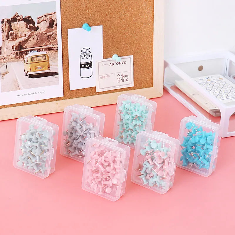 Set of 50 Morandi colour pushpins showing green, grey, and pink tones with different pin head styles on a corkboard.