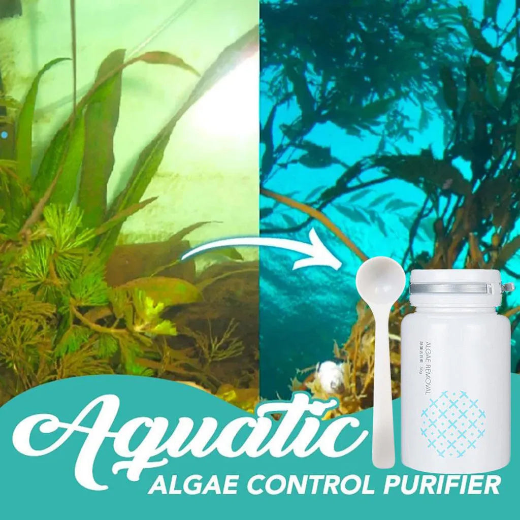 50g pool algaecide treatment for swimming pool algae control and water quality purification