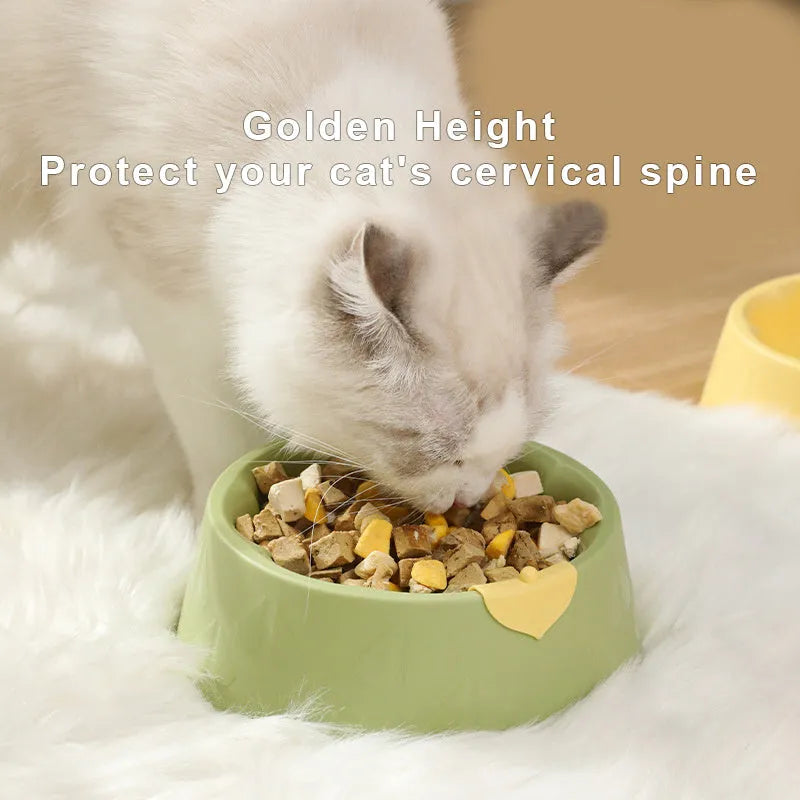 Green plastic double pet bowl with anti-tipping design for dog and cat food and water