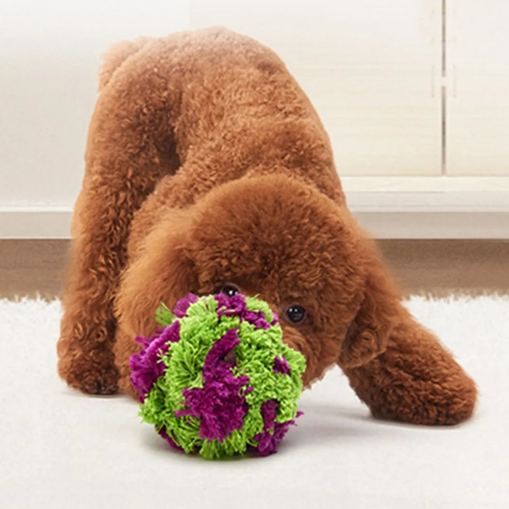Purple plush dog ball toy with seaweed knot texture for chewing and interactive play