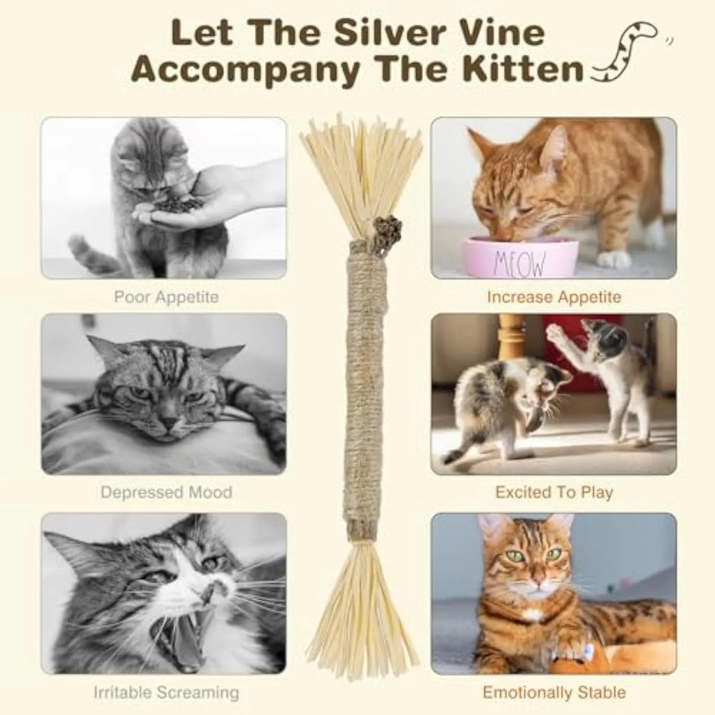 3 natural silvervine dental sticks for cats with sisal rope and raffia, thick and fine diameter options