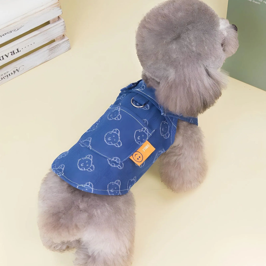 A small white Bichon dog wearing a light blue denim princess dress with a brace skirt design.