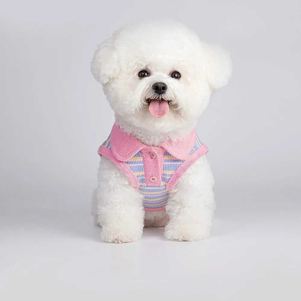 Pink purple vest for a small dog or cat, shown on a mannequin, with a size chart for pets 1.5kg to 14kg.