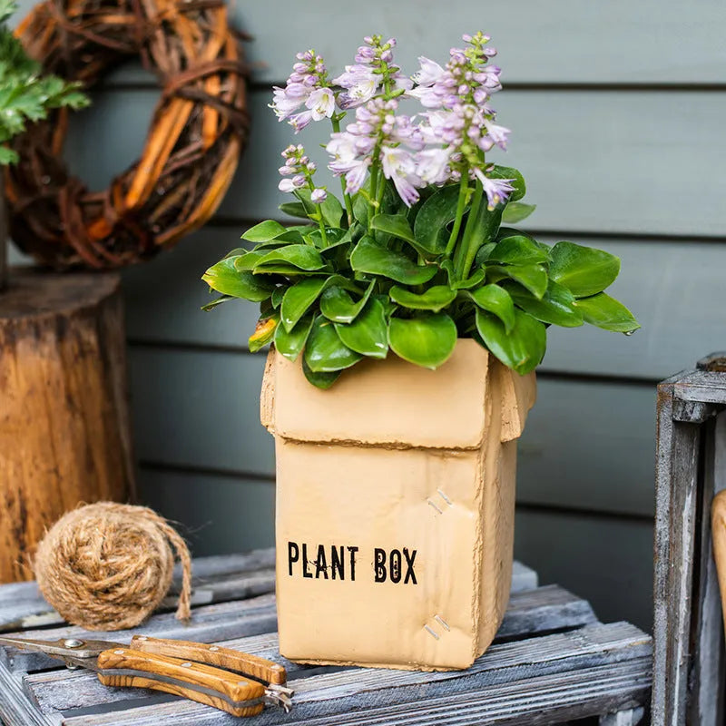 Cement flowerpot with perforated base and imitation carton paper texture for indoor planting