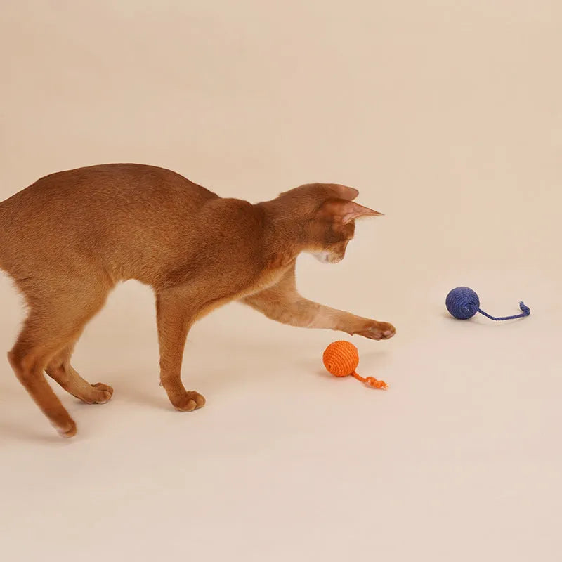Cat teaser wand with catnip ball and feather toys in multiple colours including blue, green, red, yellow
