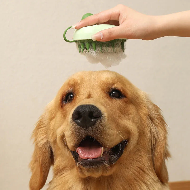 Handheld silicone pet grooming brush with TPR massage bristles in blue colour for dog and cat hair removal