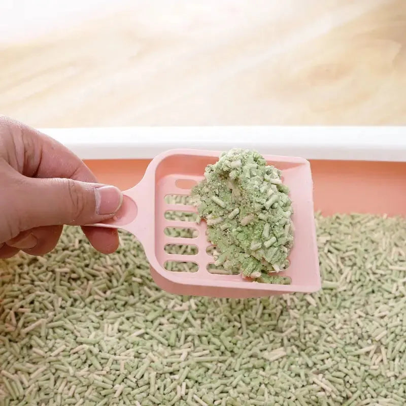 Plastic cat litter scoop in blue, green, or pink colour measuring 20cm long