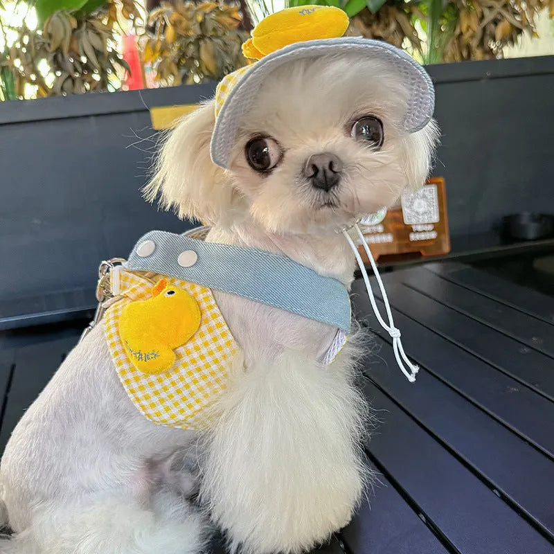 Three-piece pet set with cute hat, wire rope pulling rope, and harness with leash in various sizes