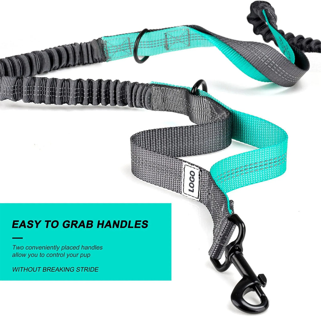 Black outdoor pet training waist bag with matching nylon leash and collar set for dog walking