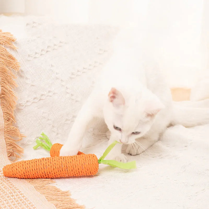 Interactive cat toy set with carrot paper toys, ringing stones, and textured grinding sticks for indoor play