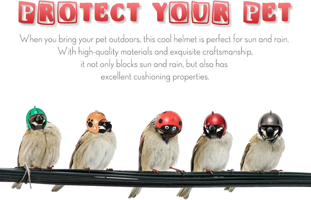 Small plastic pet helmet with elastic bands for chickens and birds on measurement background