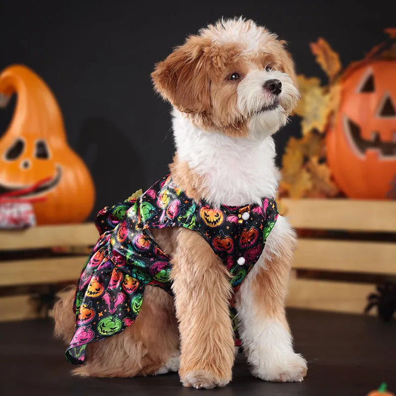 Angel wings Halloween costume for dogs in bright pumpkin or bat designs