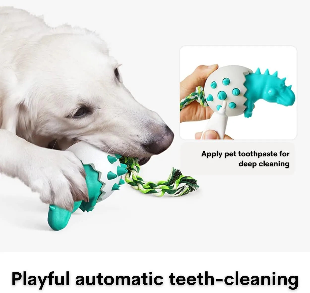 Blue dinosaur-shaped dog chew toy with an attached nylon rope on a neutral background.