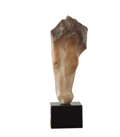 French retro abstract horse head desktop sculpture with carved finish, 50cm tall.