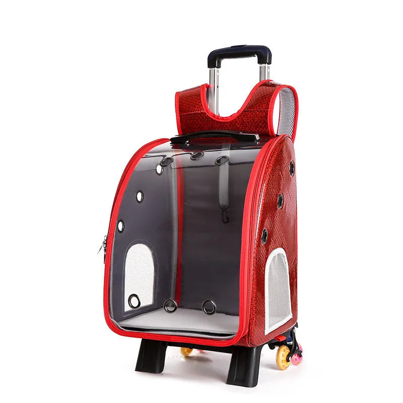 Transparent pet trolley bag with folding shoulder design in blue colour showing clear acrylic cover