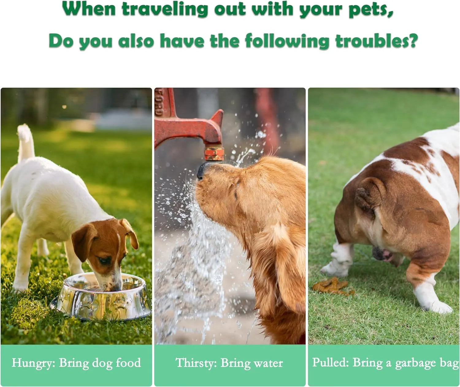 Green 3-in-1 portable pet water bottle with food pot and waste bag dispenser attached to a hand strap.