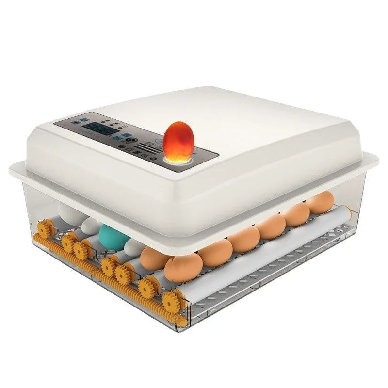 Fully automatic plastic incubator with 16 egg capacity and digital temperature control panel