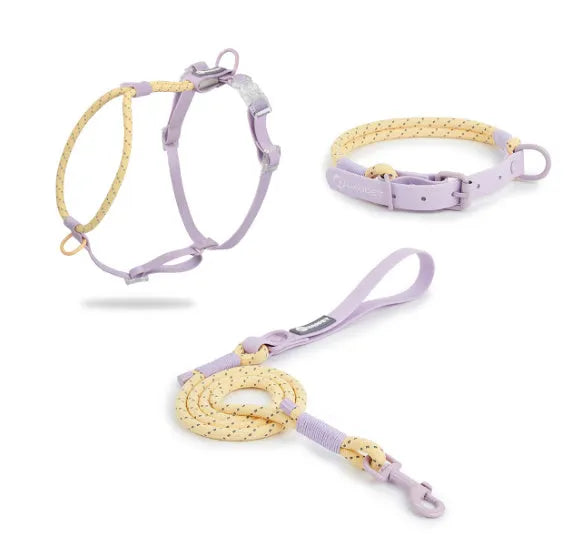 Solid colour PVC dog hand-holding rope leash in dark red purple yellow and taoyao green options.