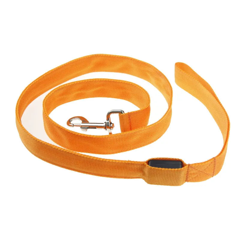 LED luminous nylon dog leash 120cm length 2.5cm width blue colour