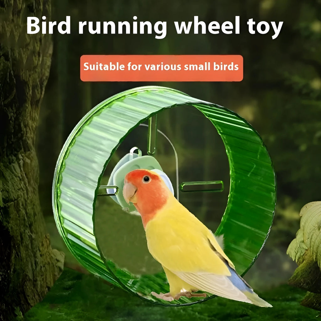 21cm plastic bird running wheel toy in transparent, green, grey, orange or purple for parrots and small birds