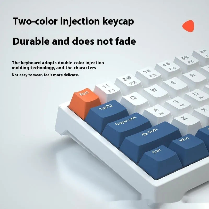 61-key compact mechanical keyboard with blue-white tea switches and wired connection