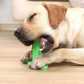 Green TPR dog chew toy with small and large molar rods and suction cup base