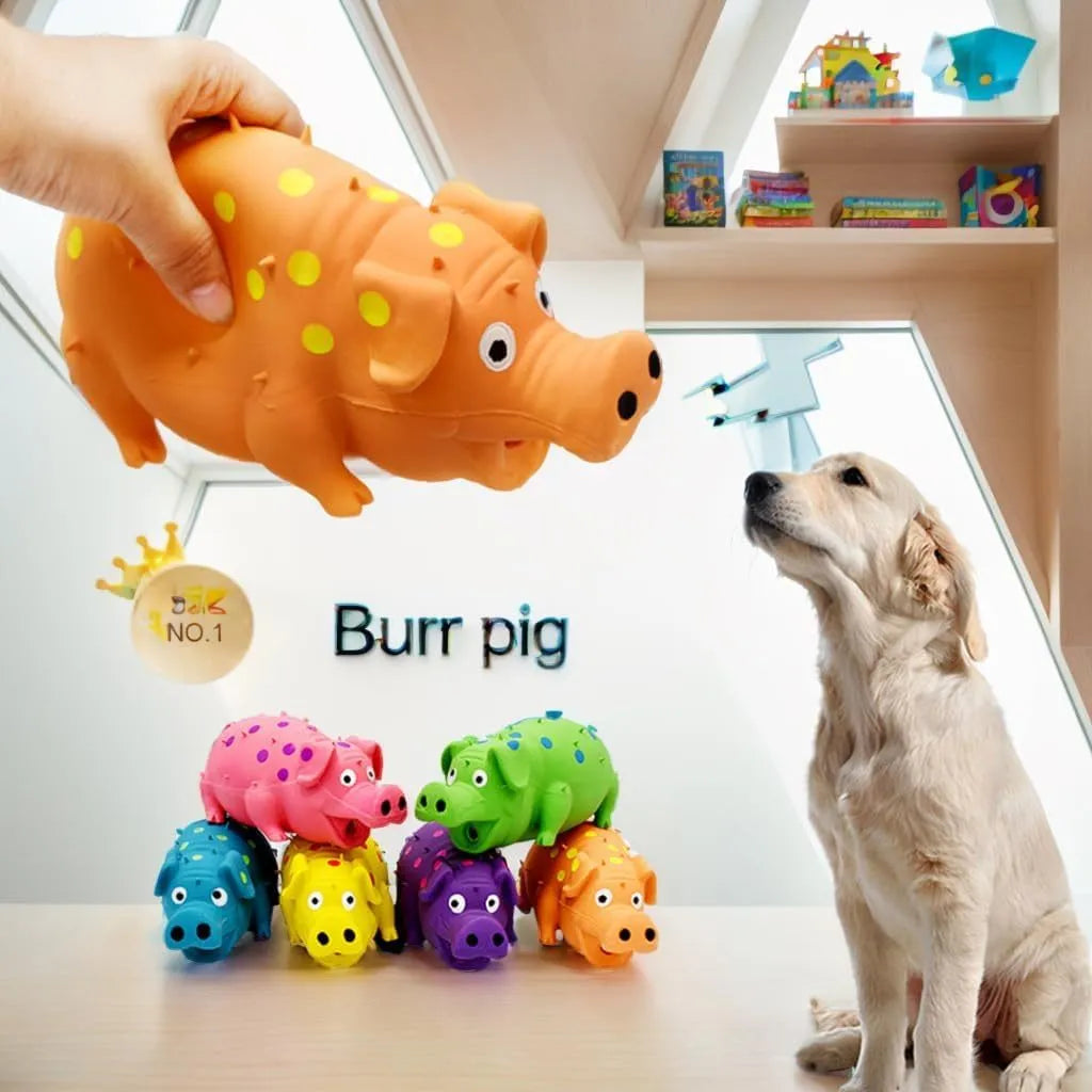 Blue pig-shaped latex dog chew toy with textured surface on a white background.