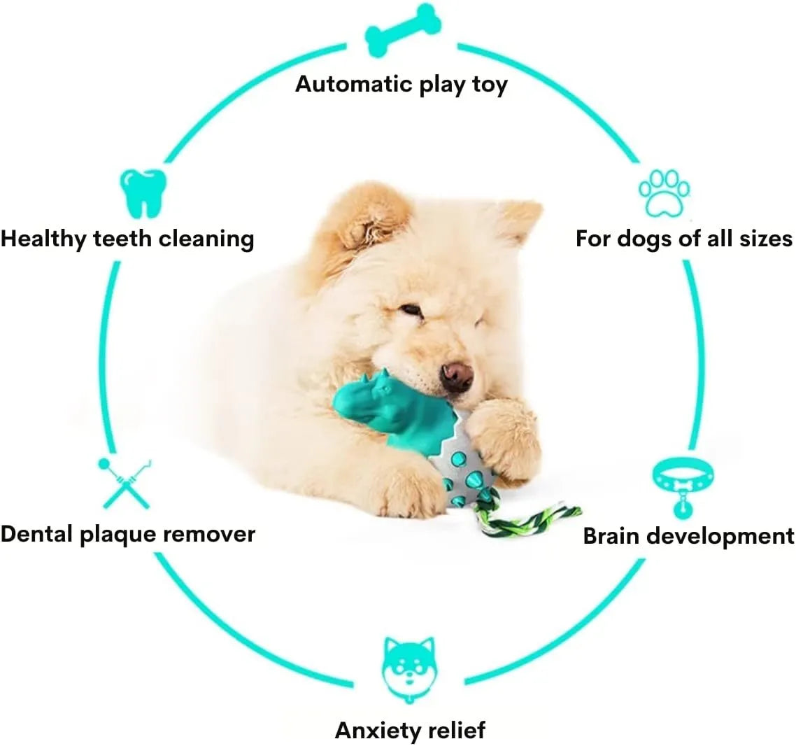 Blue dinosaur-shaped dog chew toy with an attached nylon rope on a neutral background.
