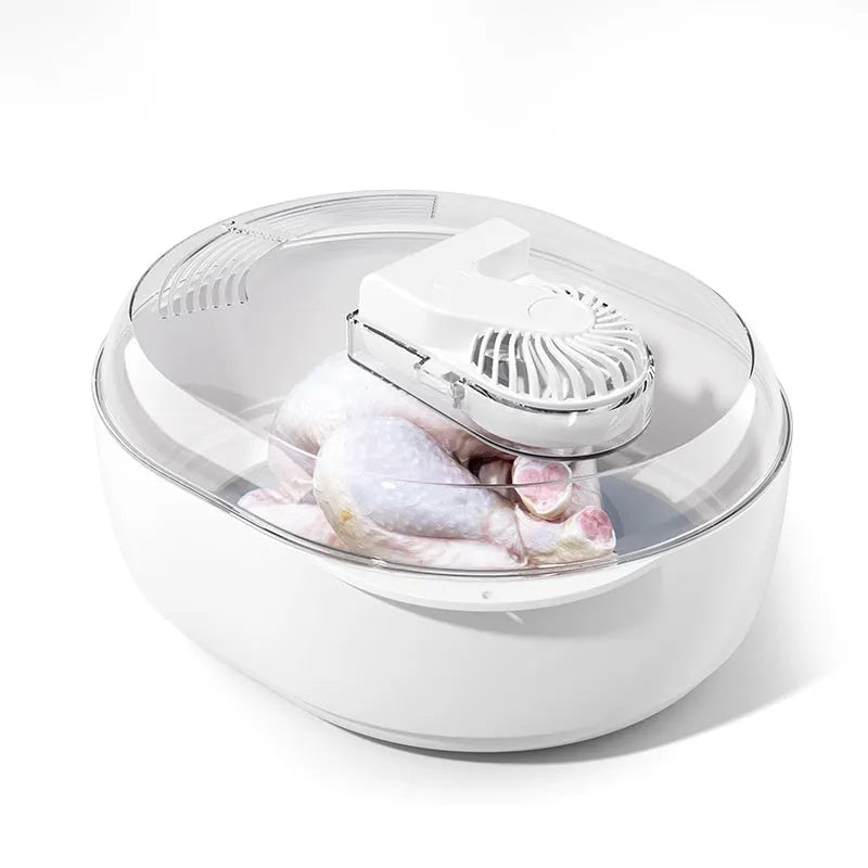 Aluminium quick defrosting plate with separate control unit for thawing frozen foods