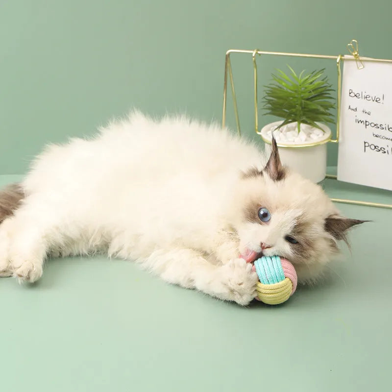 Handmade cotton plush ball cat chew toy measuring 5cm in diameter with textured surface