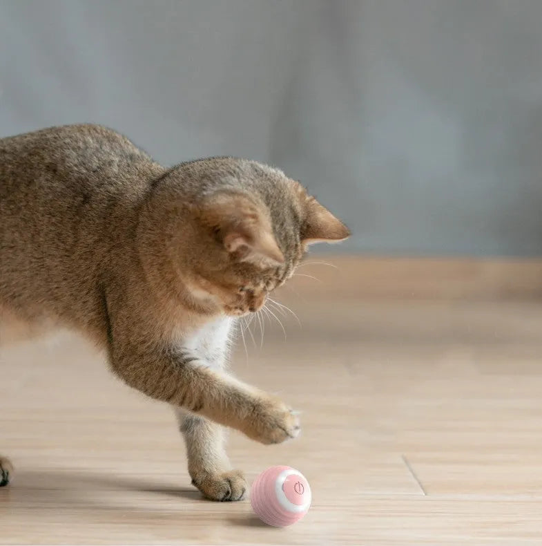Automatic moving cat toy ball in blue or pink with self-bouncing rolling motion