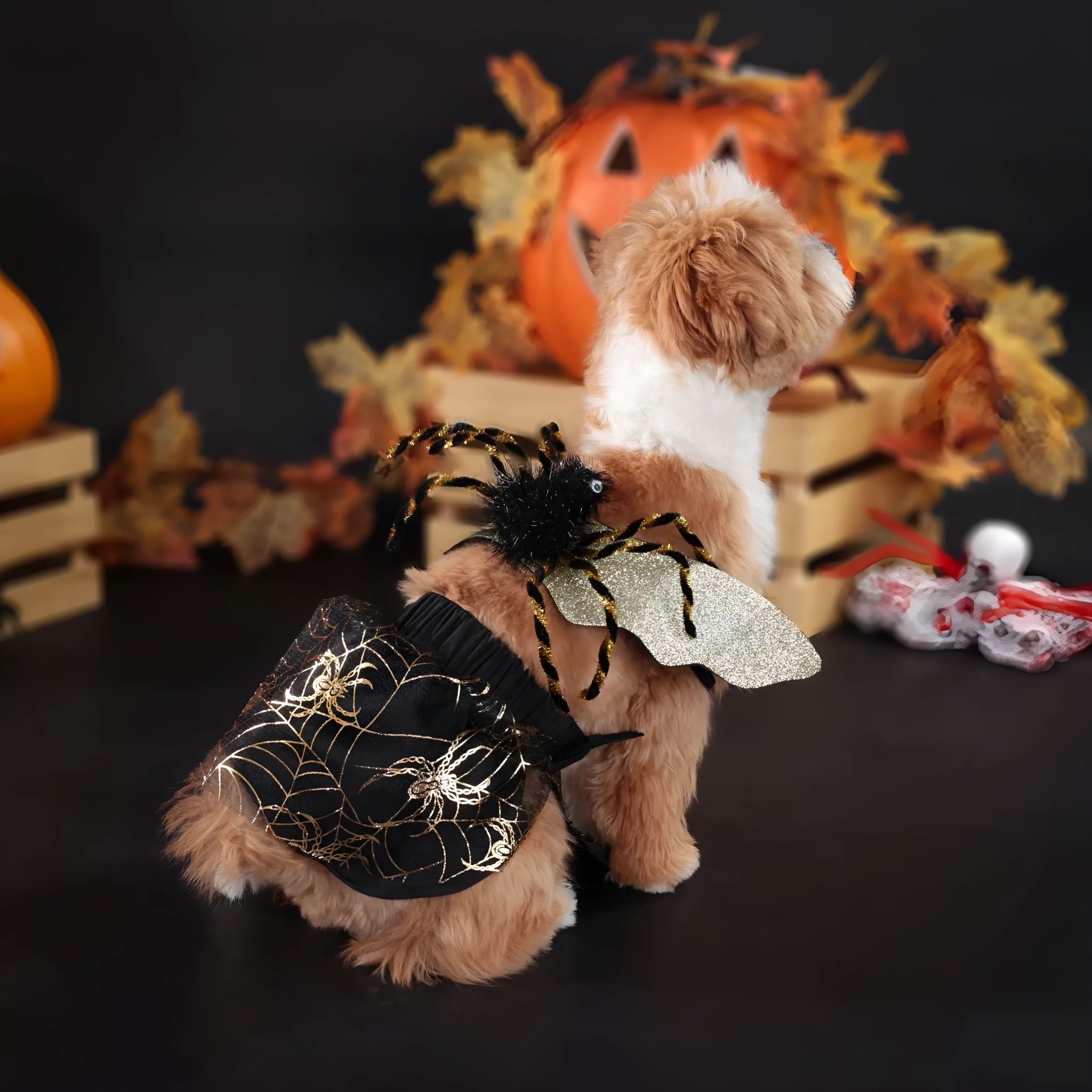 Black suit Halloween costume for dogs in polyester fabric available in multiple sizes