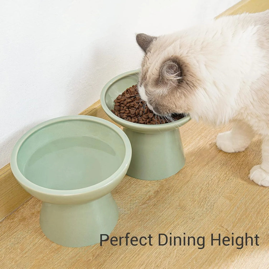 Ceramic elevated cat food bowl in blue showing wide shallow design and raised height