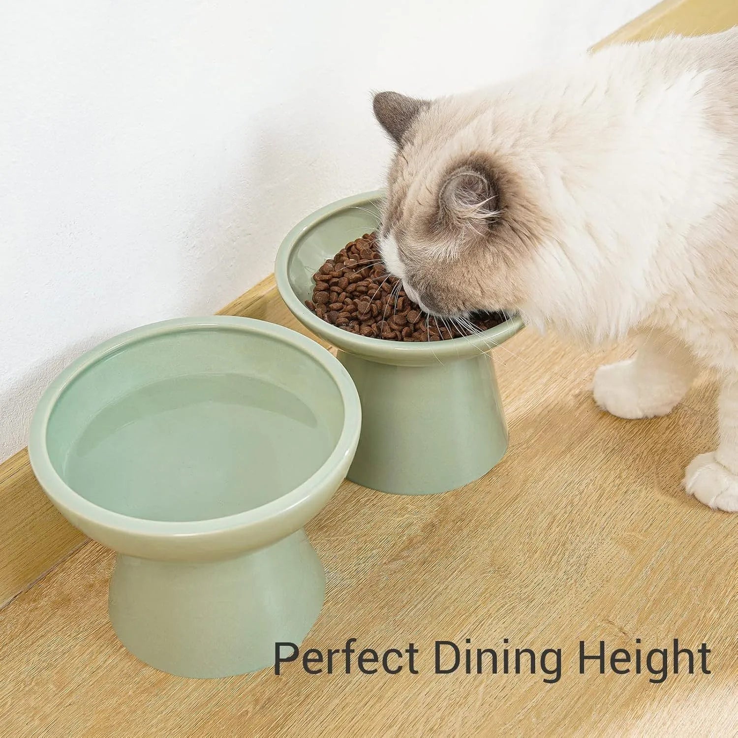 Ceramic elevated cat food bowl in blue showing wide shallow design and raised height