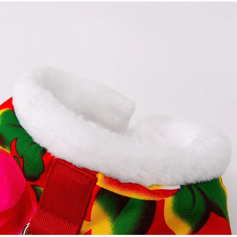 Red winter dog vest with plush lining, metal D-ring, and large floral peony pattern on a small dog