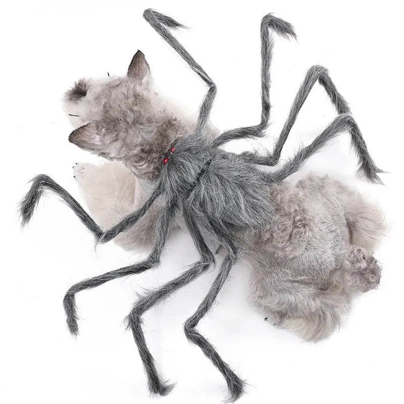 Halloween spider pet costume for dogs and cats in black and purple full-body design