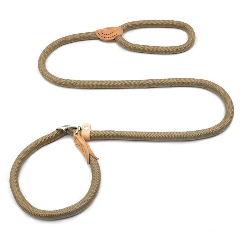 Blast race training dog leash with automatic tightening rope collar in multiple colours